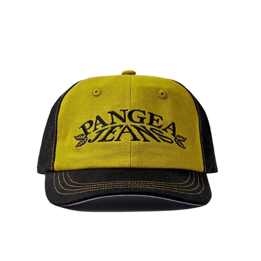 Pangea Leaf Logo Hat