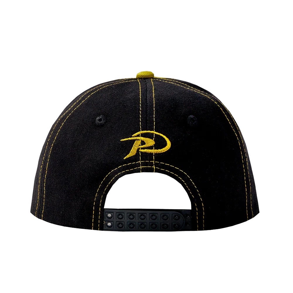 Pangea Leaf Logo Hat